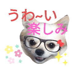 [LINEスタンプ] しろくん2