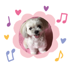[LINEスタンプ] モモのスタンプ❤︎