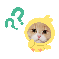 [LINEスタンプ] うちのここねこ