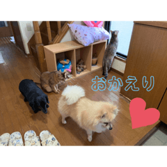 [LINEスタンプ] りぃぽぽ大切な大切な家族