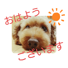 [LINEスタンプ] 穏やかな挨拶