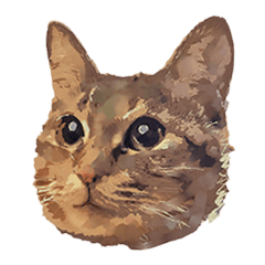 [LINEスタンプ] 麦わら猫のアルさん