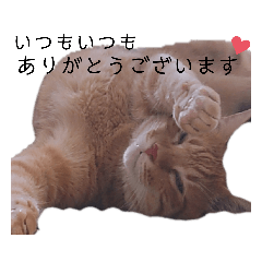[LINEスタンプ] トトさんのご挨拶