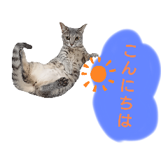 [LINEスタンプ] りんりんの日常4