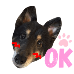 [LINEスタンプ] ♡My Pet♡