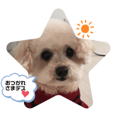 [LINEスタンプ] 元気になーーれ
