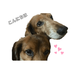 [LINEスタンプ] チルユズスタンプ完全版