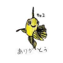 [LINEスタンプ] キャコちゃんスタンプ