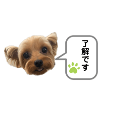[LINEスタンプ] ヨーキーのミント①