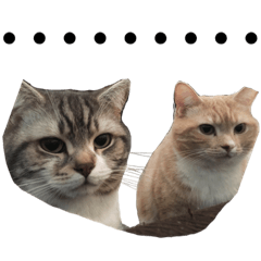 [LINEスタンプ] ハミーのいる生活