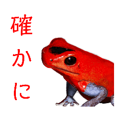 [LINEスタンプ] ヤドクガエル(基本セット)