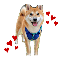 [LINEスタンプ] マルっちスタンプ♡