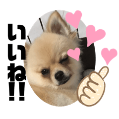 [LINEスタンプ] あかはるファミリー