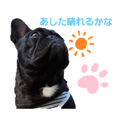 [LINEスタンプ] sigeさん