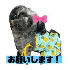 [LINEスタンプ] fuukaパート3ですよ
