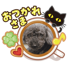 [LINEスタンプ] トイプーの日常①