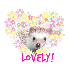 [LINEスタンプ] かわいいおTang Tang