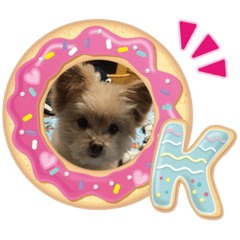 [LINEスタンプ] ポメプー♡ひめちゃん