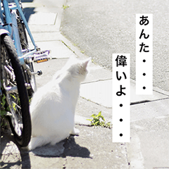 [LINEスタンプ] ハッピ-ライフ