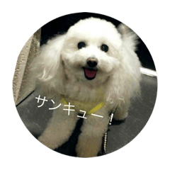 [LINEスタンプ] モコちゃんスタンプス