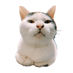[LINEスタンプ] ルビーとパール
