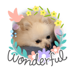 [LINEスタンプ] チワワみたいなポメラニアン。リコたん2