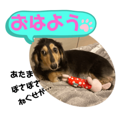 [LINEスタンプ] まるこ22