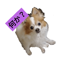 [LINEスタンプ] ハルマメ