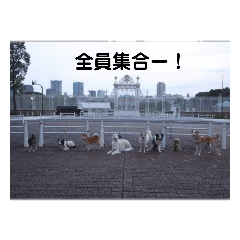 [LINEスタンプ] 迎賓館前ワンだーらんど♪40