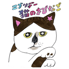 [LINEスタンプ] エブリデー猫のきびなご