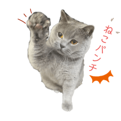 [LINEスタンプ] にゃーすけ男