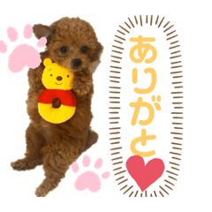 [LINEスタンプ] 私モフ子