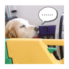 [LINEスタンプ] シルバーすたんぷ