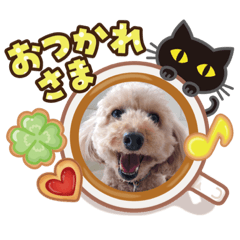 [LINEスタンプ] サンママの家族