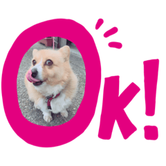 [LINEスタンプ] ころころらんこ