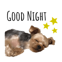 [LINEスタンプ] ぽんずくんスタンプ1