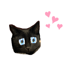 [LINEスタンプ] かわいいくろちゃん