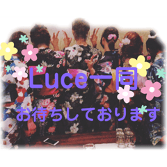 [LINEスタンプ] Luceの仲間たち