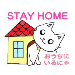 [LINEスタンプ] しろねこミーちゃん♪