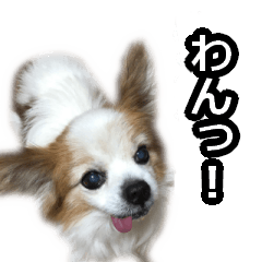 [LINEスタンプ] 親ばかなスタンプ