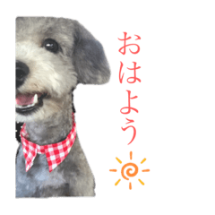 [LINEスタンプ] CoCoちゃん^^