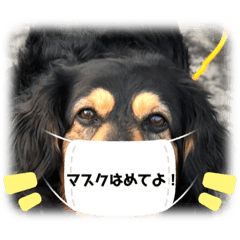 [LINEスタンプ] MIX犬のりんちゃん