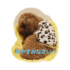 [LINEスタンプ] あゆみところたん