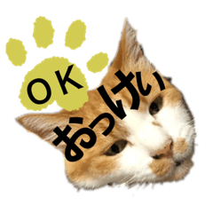 [LINEスタンプ] 松右衛門