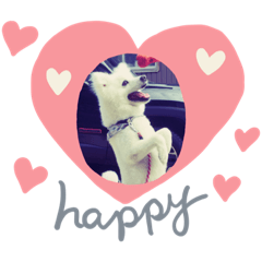 [LINEスタンプ] かにちゃん①