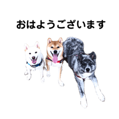 [LINEスタンプ] こじこてこと お仕事ver