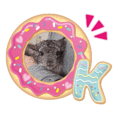 [LINEスタンプ] チンチラち～たん❶
