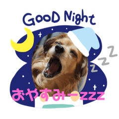 [LINEスタンプ] チワックス虎龍b
