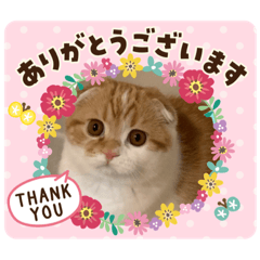 [LINEスタンプ] まるちゃんスタンプ☆日常編2
