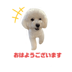 [LINEスタンプ] ブビースタンプ2